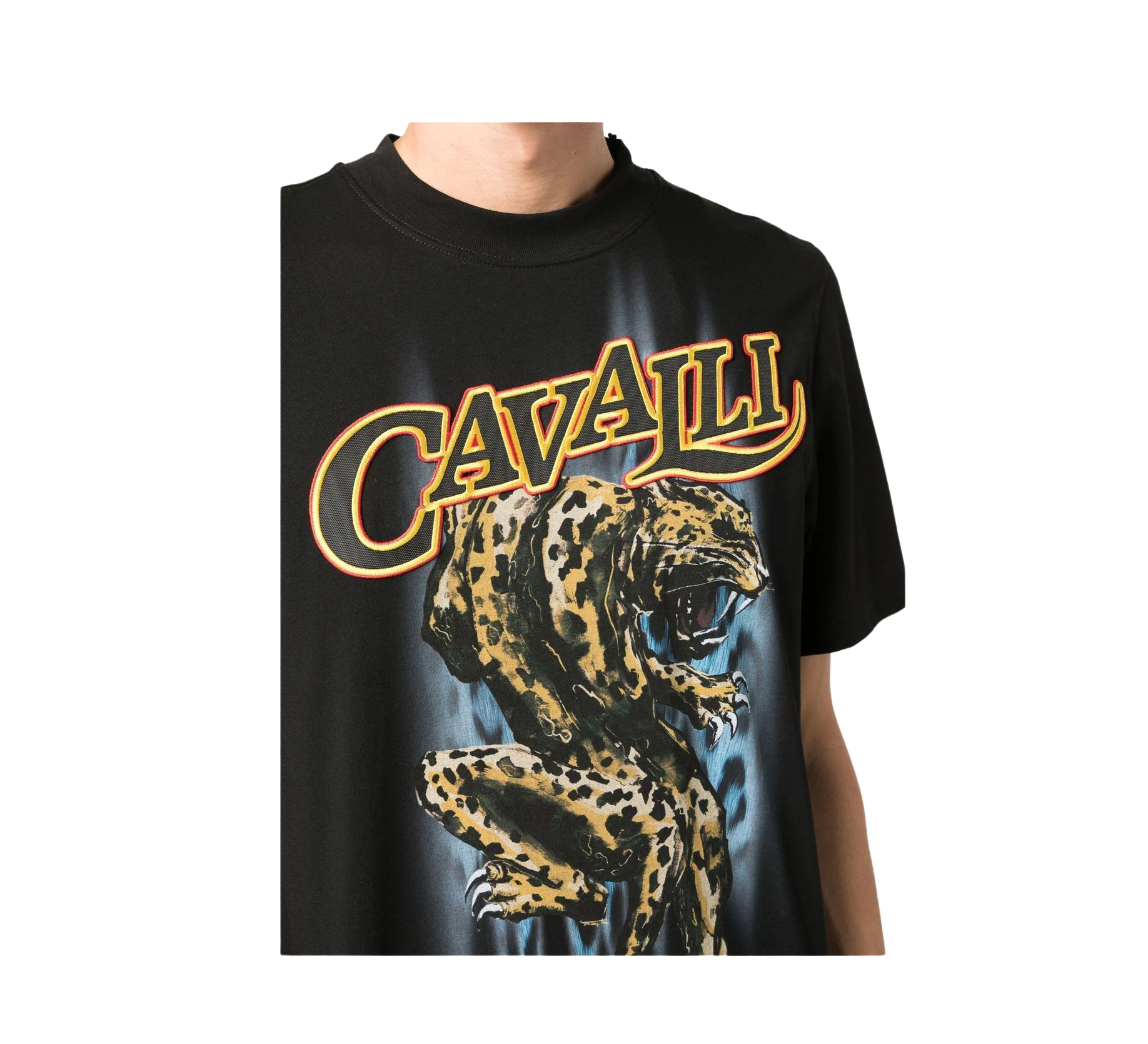 Roberto Cavalli T-Shirt with graphic print, available at Lestyle Boutique Melbourne