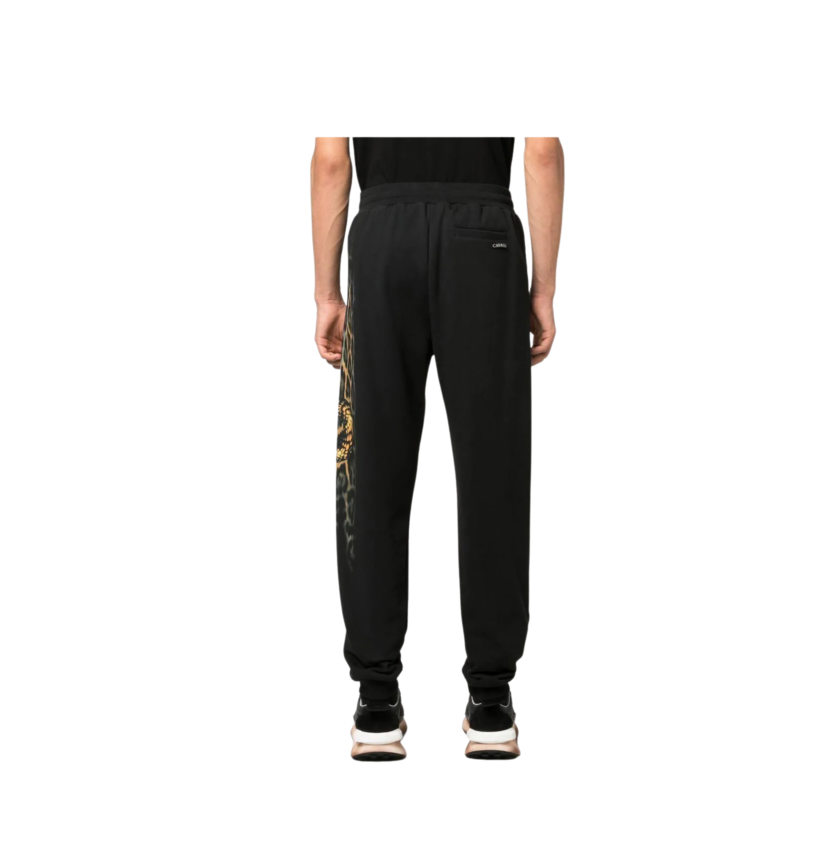 ROBERTO CAVALLI 裤子