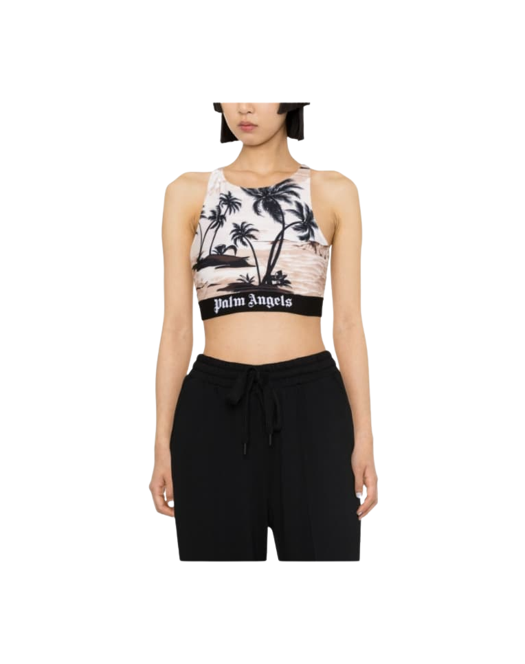 ĐẦU CÂY CỌ LÁ