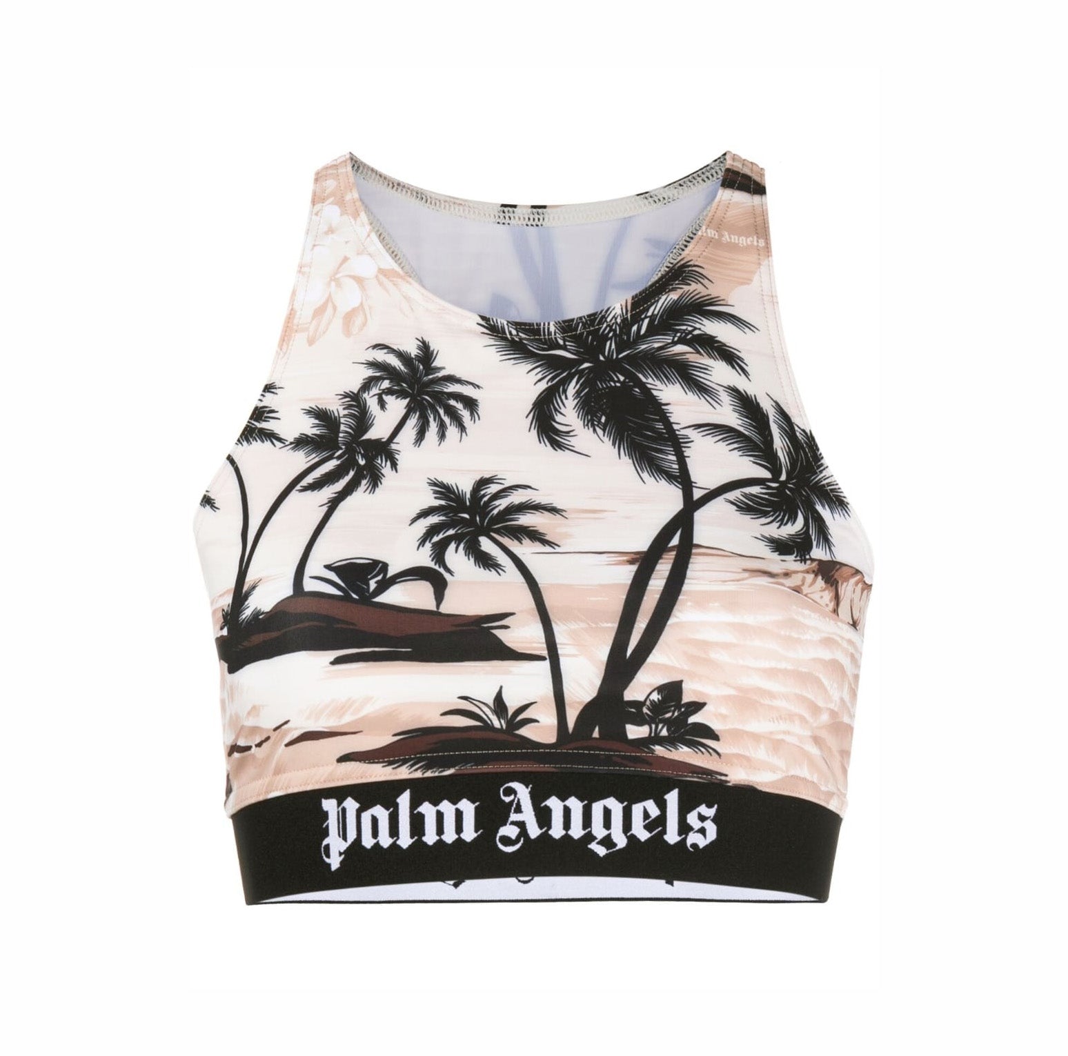 ĐẦU CÂY CỌ LÁ