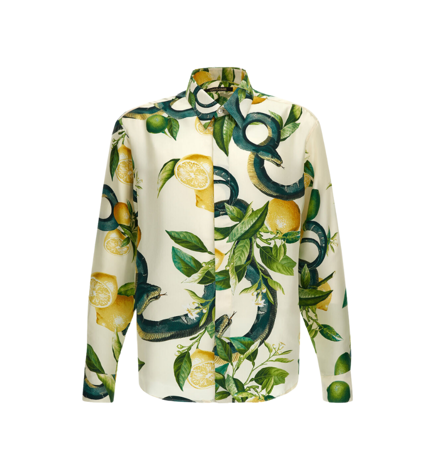 ROBERTO CAVALLI 衬衫