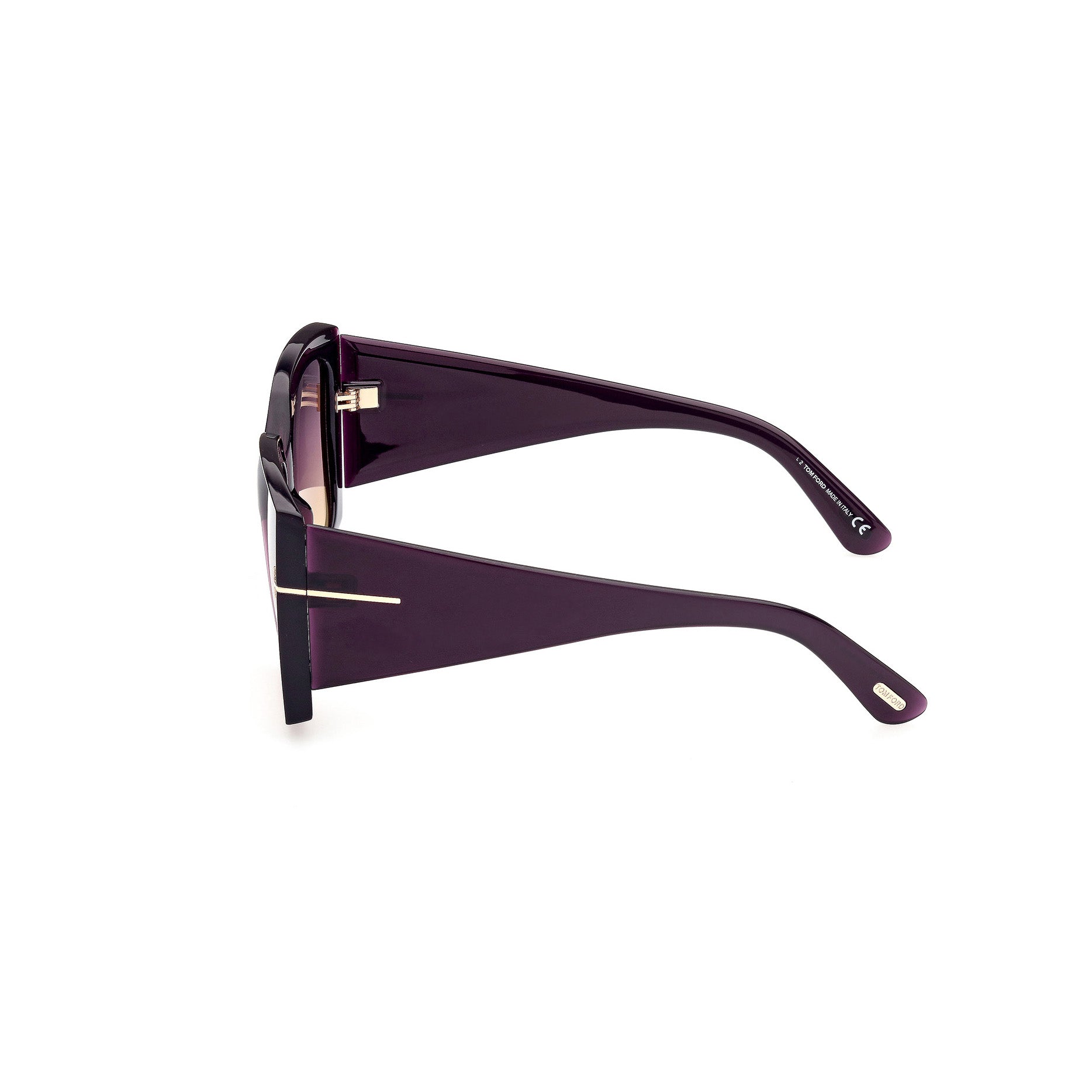 汤姆·福特太阳镜