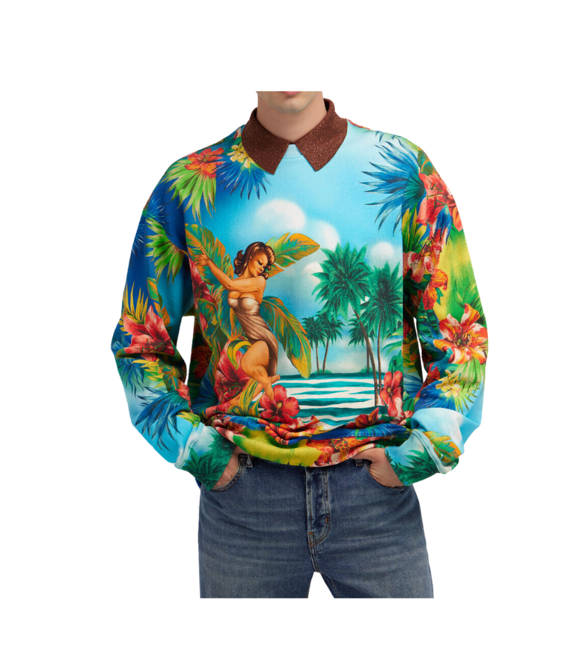 ROBERTO CAVALLI 运动衫