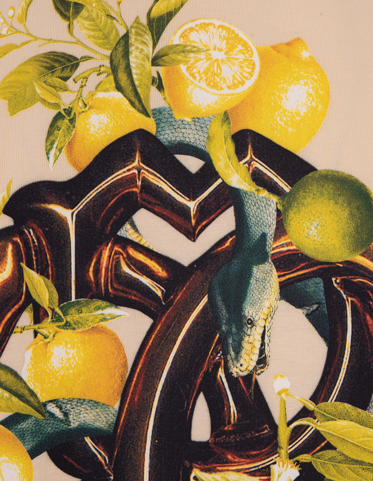 ROBERTO CAVALLI T恤