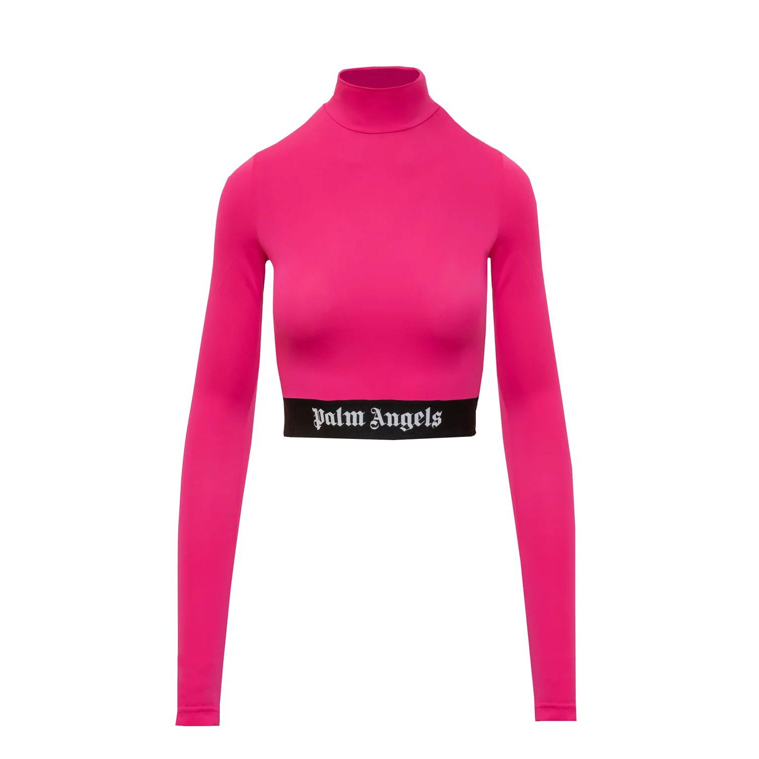 ĐẦU CÂY CỌ LÁ