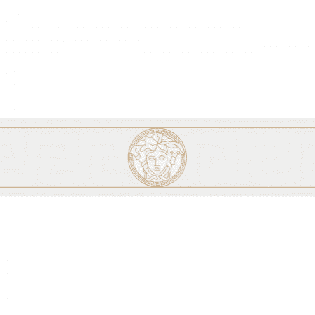 VERSACE WALLPAPER BORDER