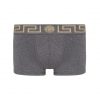 VERSACE-GRECA-BORDER-TRUNKS-A9X1