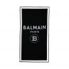 BALMAIN-CENTRAL-LOGO-BEACH-TOWEL-ITEM-16485987