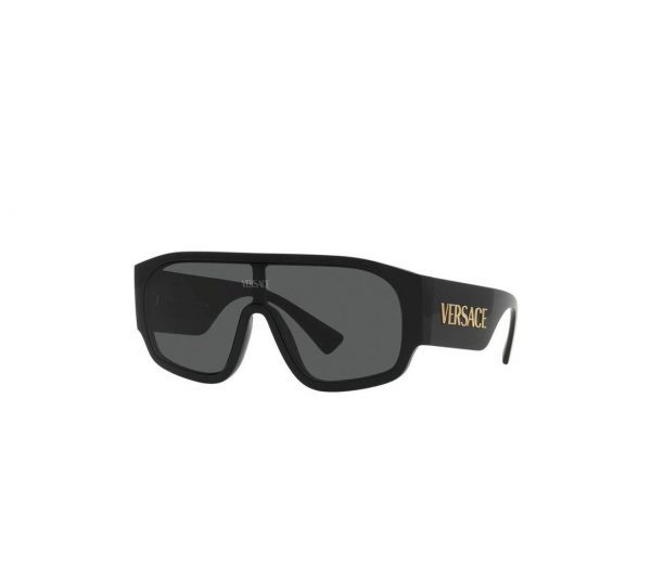 VERSACE EYEWEAR MEDUSA HEAD-DETAIL SUNGLASSES