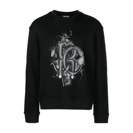 ROBERTO CAVALLI MIRROR SNAKE-PRINT SWEATSHIRT